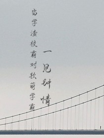 学渣对学霸一见钟情电视剧