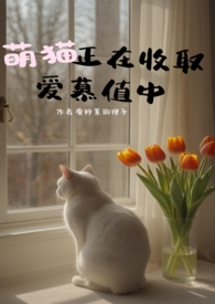 萌猫正在收取爱慕值中