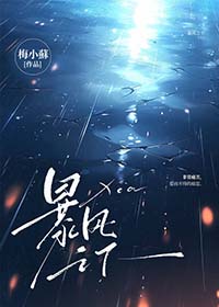 暴风眼剧情介绍