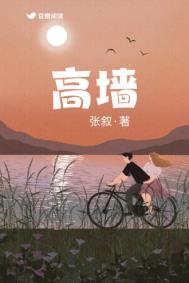 高墙边的混乱在线观看