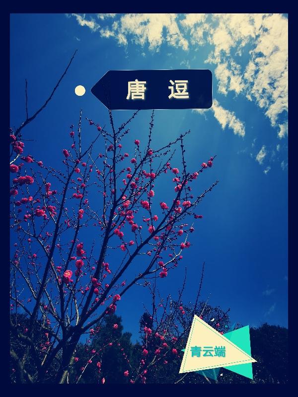 唐痘痘怼法海搞笑视频