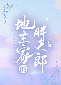 胖夫郎嫁给地主少爷之后