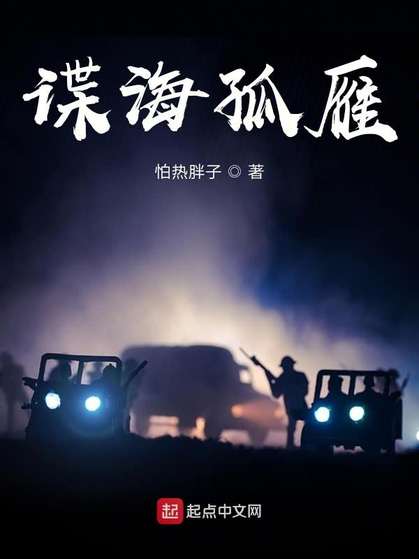 谍海追踪第二部电视连续剧