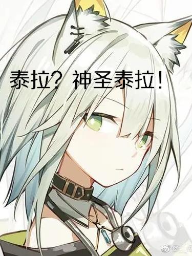 泰拉神圣之地怎么找