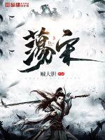 荡宋小说是什么时候发布的
