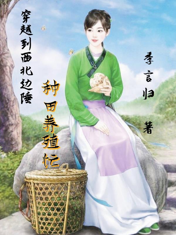 穿越到西北的抗战小说