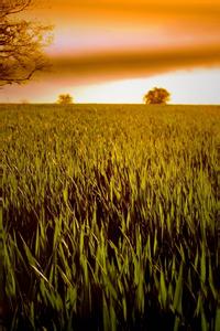 东光的历史文化