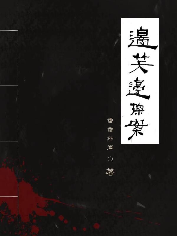 边探案边谈恋爱的小说