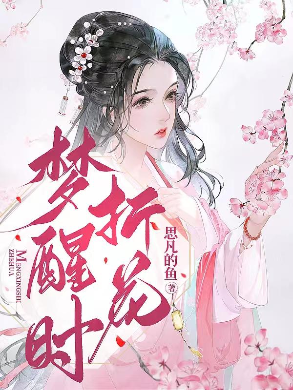 梦醒折花完整版背面教程