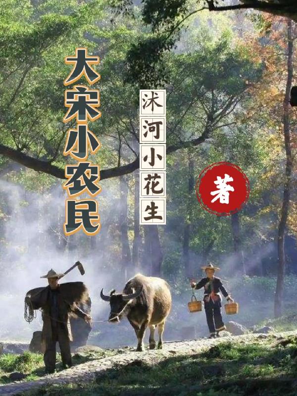 大宋农民起义小说