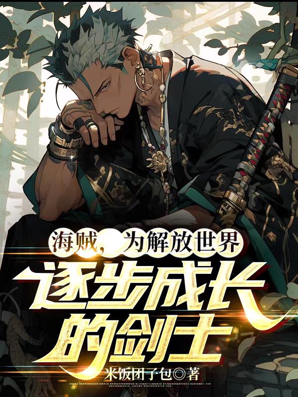 海贼剑士小说