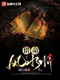 借命属于什么小说