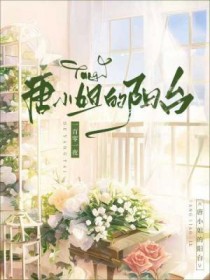 唐小姐的阳台小说免费