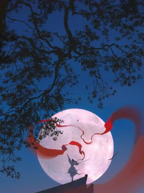 穿进莲花楼后，我好像成了白月光