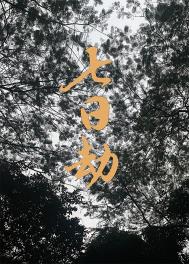 七日的王妃大结局