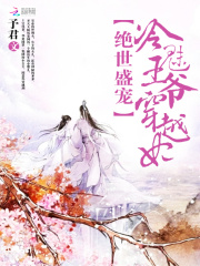 绝世盛宠：冷魅王爷穿越妃
