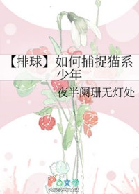 [排球] 如何捕捉猫系少年
