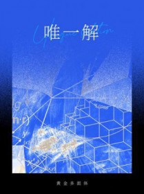 唯一解