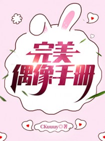 [韩娱同人] 完美偶像手册