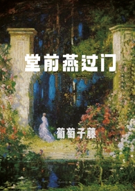 堂前燕暗器