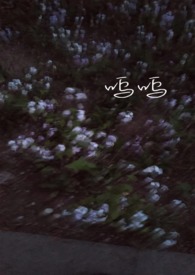 湾湾女星黑长直