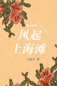连续剧风云上海滩