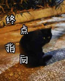 什么叫终点