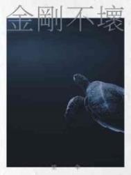 金刚不坏大寨主笔趣阁