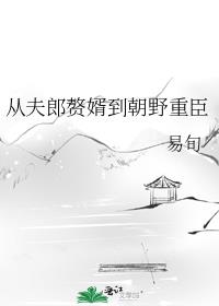 从夫郎赘婿到朝野重臣小说