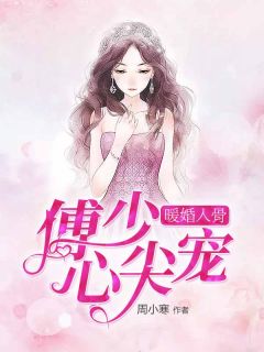 傅少宠妻无度