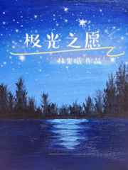极光之恋电视剧全集免费观看西瓜