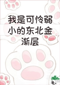 东北金渐层图片