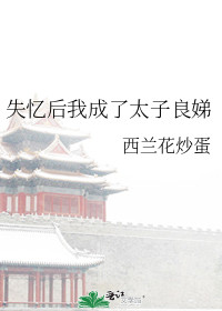 失忆后我成了太子良娣43