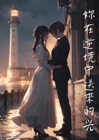 《你在逆境中送来的光》原文