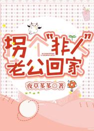 拐个老公好过年 小说