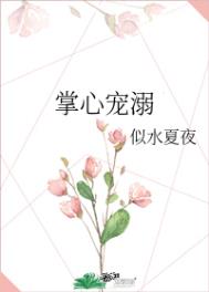 掌心宠溺小说共多少章