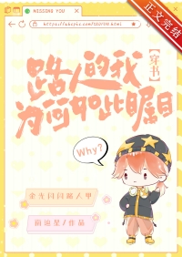 路人的我为何如此瞩目晋江