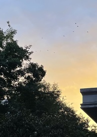 什么东西才能毁灭地球